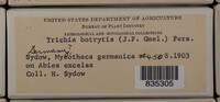 Trichia botrytis var. botrytis image